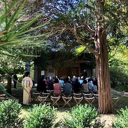 Japanese Tea Ceremony (Duxbury)