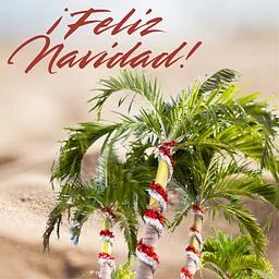 Noche Buena Cubana