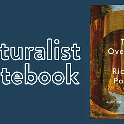 Naturalist Notebook: The Overstory by Richard Powers