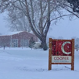 Red Mountain Winter CoopClub Release