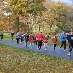 Cantigny 5k