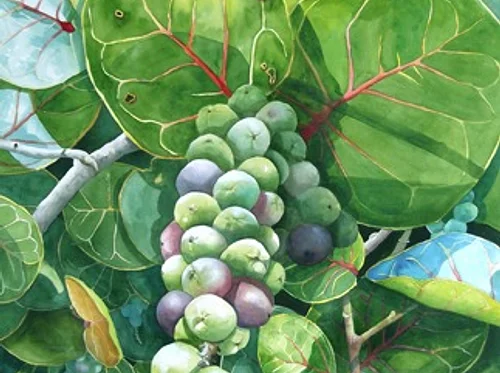 “Flora & Fauna at the Refuge”