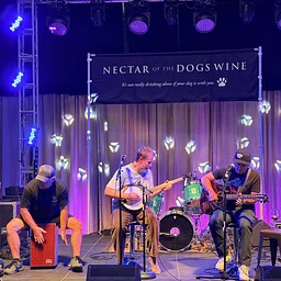 NOTDW Musicians Jam Night 🎤