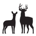 Whitetail Lodge