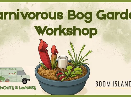 Carnivorous Bog Garden Workshop