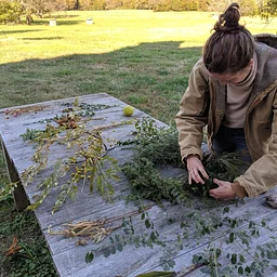 Wreath Making Workshop