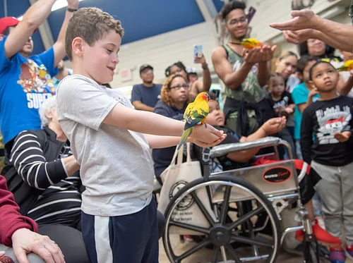 Clearwater Nature Center Community Day