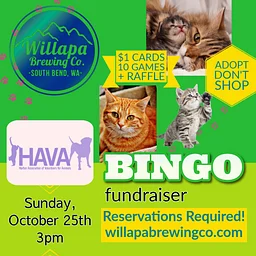 🐾🎉 BINGO NIGHT IS COMING! 🎉🐾
