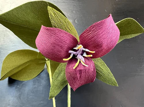 Creating Paper Botanicals: Trillium