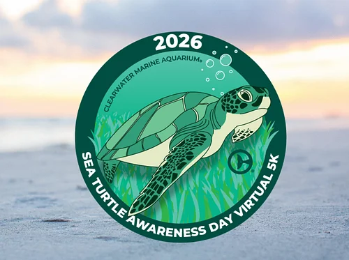 Sea Turtle Awareness Day 2026 Virtual 5K
