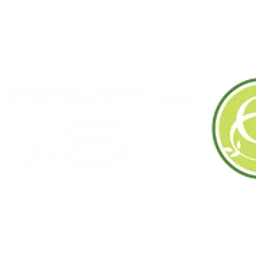 Downtown Glen Ellyn