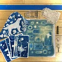 Intro to Cyanotypes