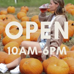 Fall Festival {ticketed, family-friendly}