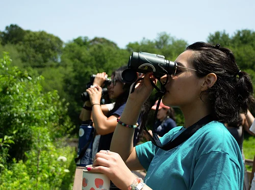 Birding in a Changing Climate (Marshfield)