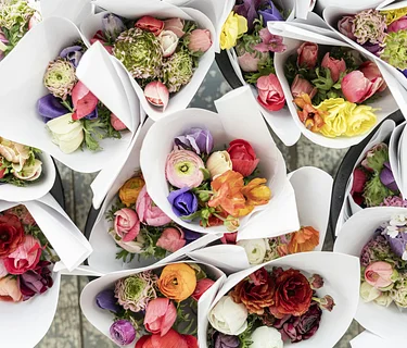 Plymouth | Mother's Day Market