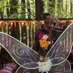 Fairies in the Garden
