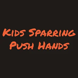 Kids Sparring & Push Hands