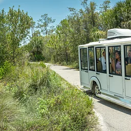 Garden Tram Tours