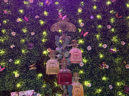 Bloom at Mystic Station