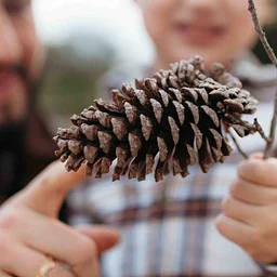 Gardening with Kids: Senses in the Winter Garden