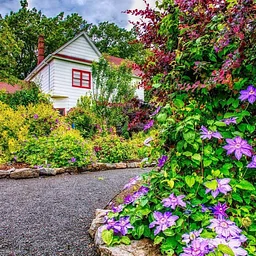 Public Class – Perennials for Year Round Flower Power