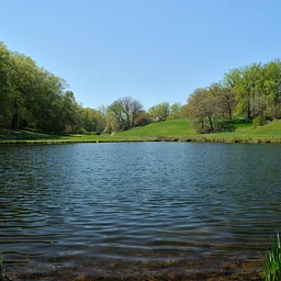 Director’s Garden Walk: Meadows, Streams, and Ponds