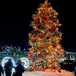 Celebration of Lights