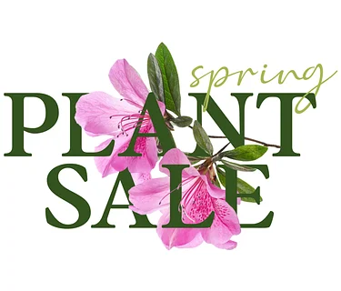 Plant Sale