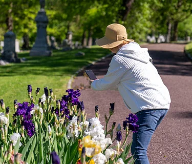Spring Bulb Walking Tour