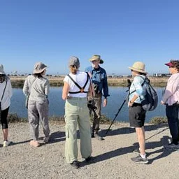 BOLSA CHICA Ecological Reserve Bird Walk