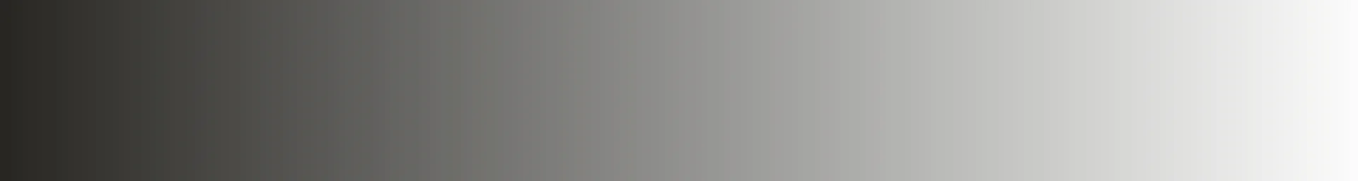 Minnesota Museum of American Arts