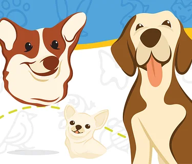 Fun Animal Friday: Dogs