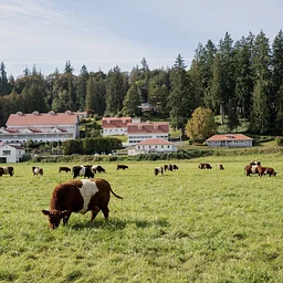 Carnation Farms Event