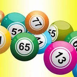 Bingo