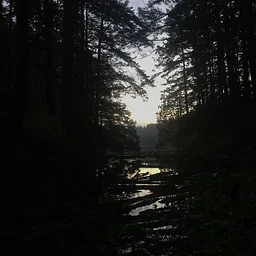 Community Hike: Halloween Night Hikes!