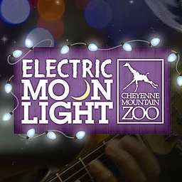 Electric Moonlight