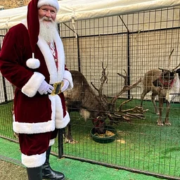 Santa and his live reindeer arrive at Fitger's