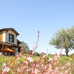 Halter Ranch Estate: Live Music - Emilee Morrison