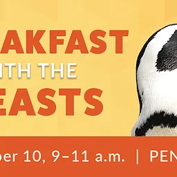 Breakfast with the Beasts: Penguins (October)