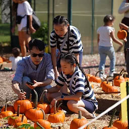 Harvest Festival