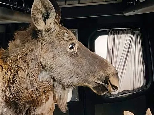 Checkpoint Zoo w/ Director/Writer/Producer Joshua Zeman