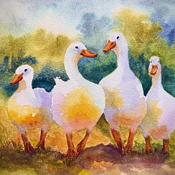 Canvas and Color: Watercolor Reimagined with Evie Grasse