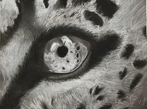 Helen Farnsworth Mears Student Art Contest Winners Exhibit