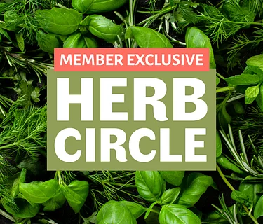 Herb Circle: Herbal Tea Blends