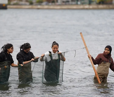 Seining Kickoff Party!