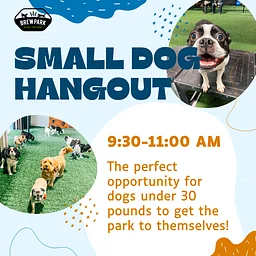 Small Dog Hangout: Every Saturday!