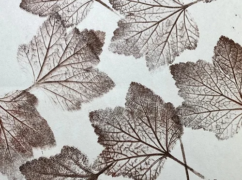 Nature Printing Workshop - Sold Out