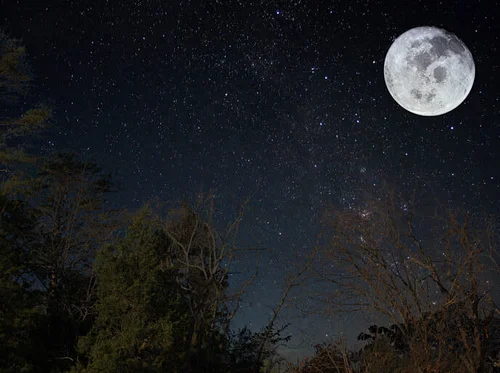 Full “Strawberry” Moon Night Hike