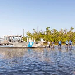 Tarpon Bay Oyster Restoration