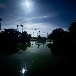 Moon Walk at Prescott Preserve (Dogs Welcome!)